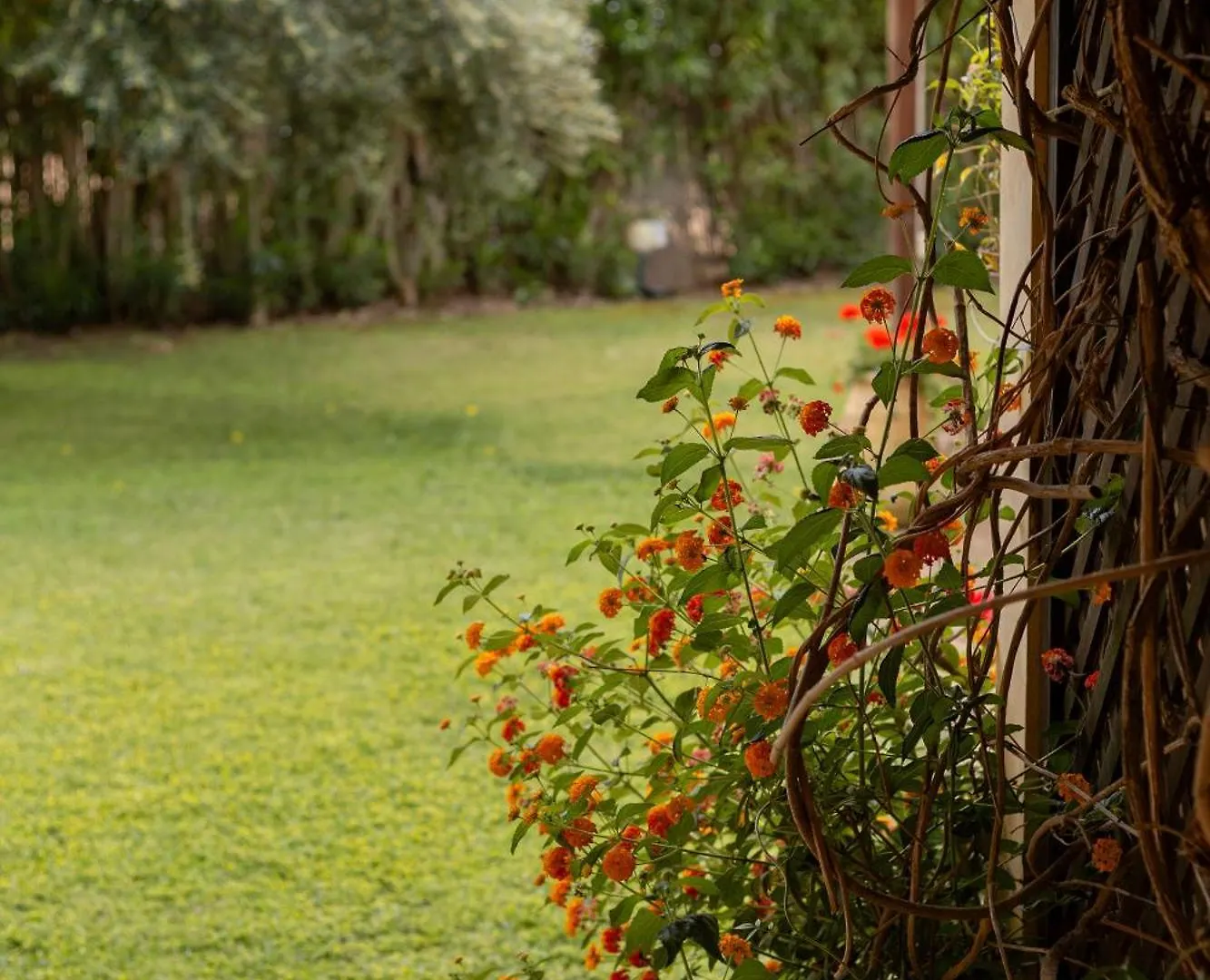 Aparthotel Porto Giunco Residence Villasimius